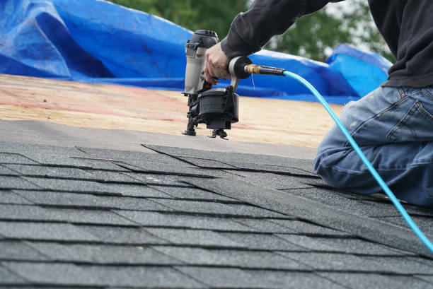 Best Roof Leak Repair  in Crystal River, FL